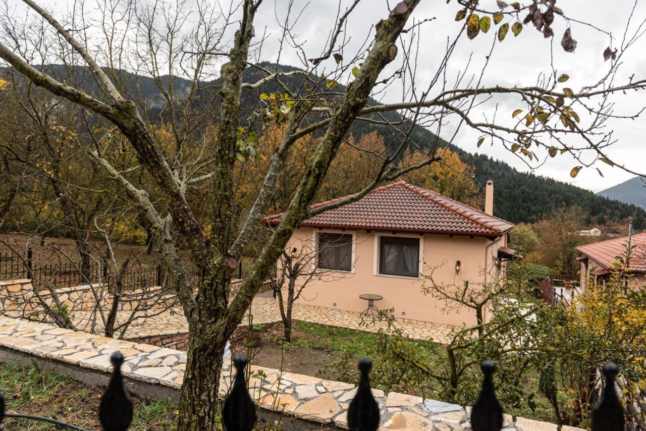 ονειροπαγιδα