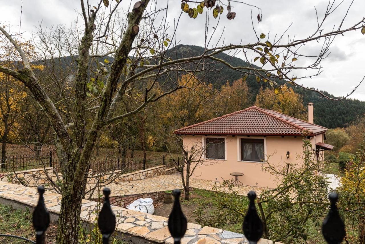 ονειροπαγιδα *