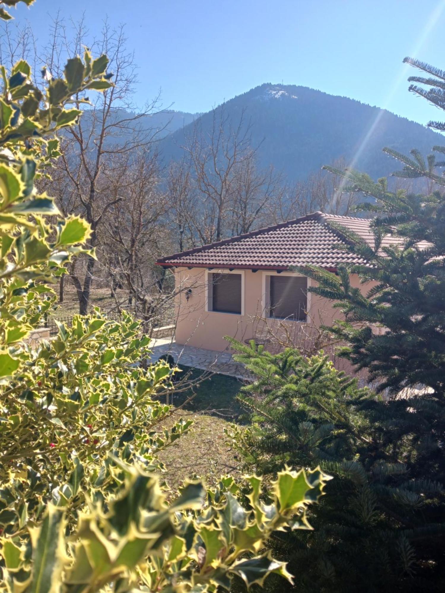 Ferienhaus ονειροπαγιδα *